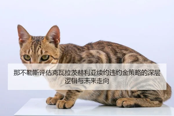 那不勒斯评估克瓦拉茨赫利亚续约违约金策略的深层逻辑与未来走向