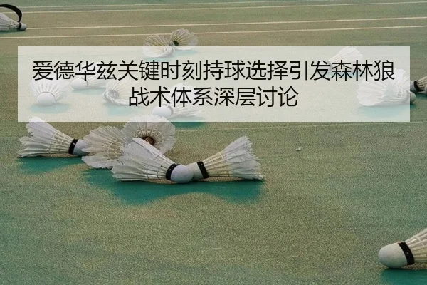 爱德华兹关键时刻持球选择引发森林狼战术体系深层讨论